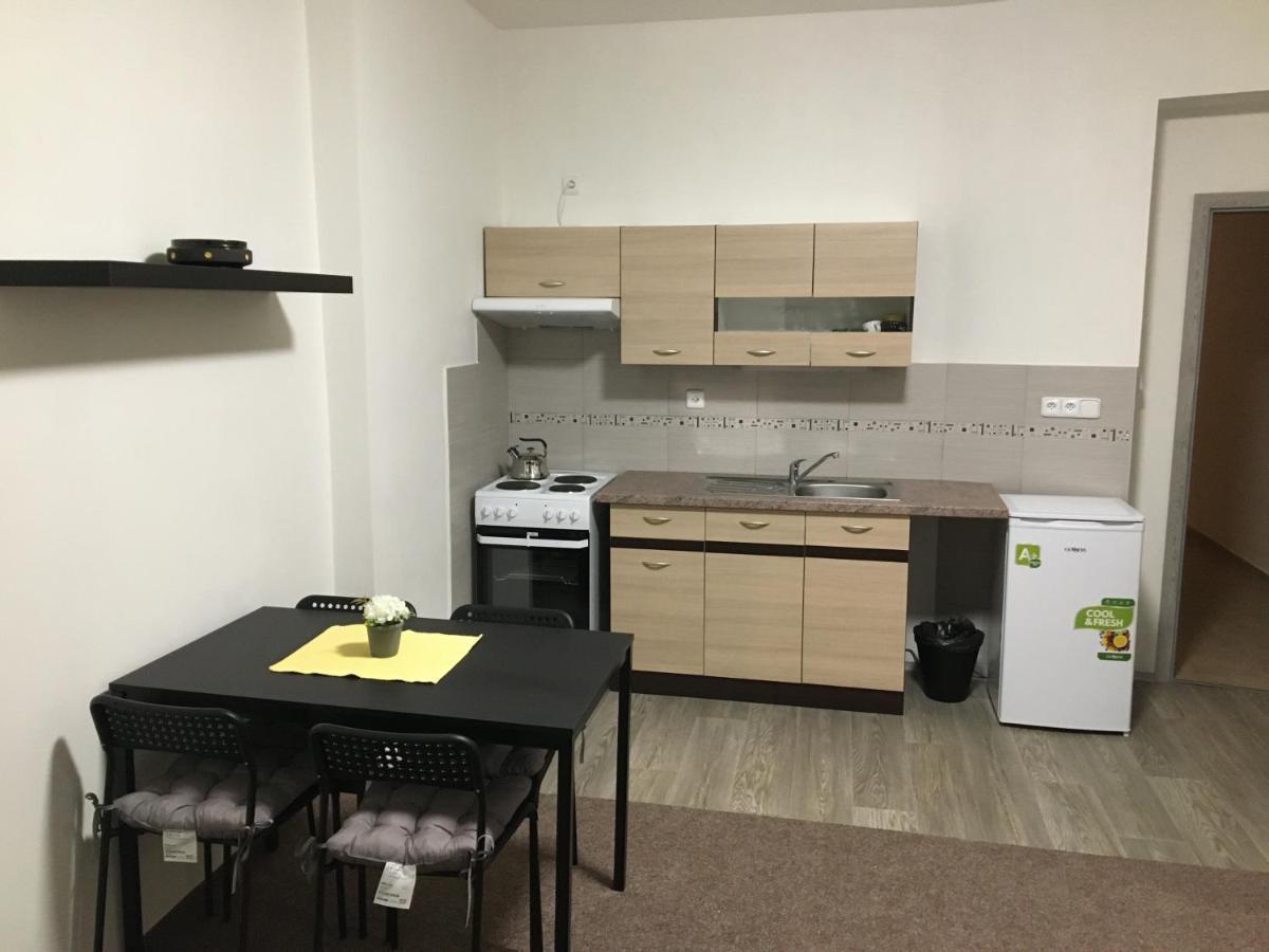Apartmany U Muzea 데친 외부 사진